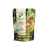 PlantLife BIO Maronimehl 650g – Glutenfreies, Veganes und Naturbelassenes Kastanienmehl – 100% Recyclebar