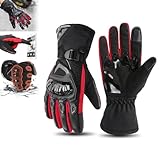 HNTKGME Winter Die isolierten wetterfesten Motorradhandschuhe, Zwei-Finger-Touchscreen-Motorradreithandschuhe für Männer und Frauen, Motorradhandschuhe Ideal für kaltes Wetter (Red,L)