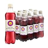 Carpe Diem Kombucha Classic Schorle | Erfrischendes, fermentiertes Teegetränk | Kalorienarm & vegan | wärmebehandelt | Original kombucha Rezeptur | 12x 0,5 Liter PET Flasche