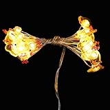 STOBAZA Kleine LED Lichterkette Osterhuhn 20 Warmweiße Leds Batteriebetrieben Kupferdraht Dekoration für Party Innenbereich