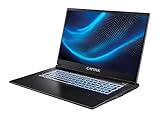 Captiva Notebook Advanced Gaming I94-827GE | Intel Core i7 13620H | 16GB DDR5 RAM | GeForce RTX 5050 8GB | 500 GB SSD | 17,3 Zoll Full HD 144Hz | Windows 11 Home