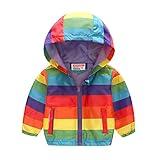 Kleinkind Baby Cartoon Dinosaurier Regenbogen Tarnung Reißverschluss Winddichte Jacke Mit Kapuze Trench Leichte Kindermäntel Windjacke Lässige Oberbekleidung Herbst Jacken Für (Purple, 2-3 Years)