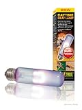 Exo Terra Daytime Heat Lamp, Breitspektrum Tageslichtlampe, A19, 60W, Fassung E27