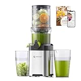 AMZCHEF Entsafter - Slow Juicer mit 120MM Breite und Größere Fütterungsröhre für Ganze Gemüse und Obst - Leicht zu Reinigender Entsafter mit 2 Gläsern - Silbrig