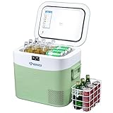 BINGI Kompressor Kühlbox 22 Liter Tragbarer Auto-Kühlschrank 12/24V DC und 230V AC Mini Gefrierschrank für Auto, LKW, Camping, Wohnmobil und Zuhause (15℃ bis -18℃)