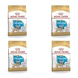 Royal Canin Chihuahua Puppy | 4er Pack | 4 x 500 g | Trockenfutter für Chihuahua Welpen bis zum 10. Monat | Zur Unterstützung der körpereigenen Abwehrkräfte | Hohe Akzeptanz