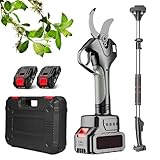Sunseota Elektrische Gartenschere, professionelle kabellose Gartenschere für Baumschnitt-Astschneider, mit Verlängerungsstange 6 cm Messerkanteneinstellung, 2 Batterien Digital,2*Batteries