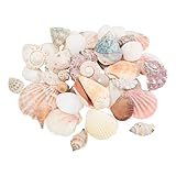 Eurosand Muschel-Mix Natur 600 g, Deko-Muscheln für maritime Dekoration, Basteln, Aquarien, Strandthemen, Tischdeko, DIY Projekte