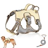 Mehrzweck-Hundegeschirr mit Leine Set, Ausbruchsicheres anti Zug Hundegeschirr, Anti Zug Geschirr Hund Sicherheitsgeschirr, Hundegeschirr Kleine Hunde für Kleine Mittelgroße Hunde(Beige, M)