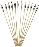 AMEYXGS 6/12pcs Holzpfeile mit Naturfedern 31zoll Pfeile für Bogen Übungspfeile Bogenpfeile für Langbogen Traditioneller Bogen und Recurve Bogen (typ 1, 6pcs)