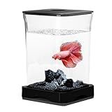 Betta Fischaquarium – Kompaktes Tisch Aquarium Mit Led-Beleuchtung, Mini Starter Kit Für Bettafische | Perfekt Für Schreibtisch, Büro, Wohnraum-Deko Und Einfache Aquarienpflege Für Einsteiger &