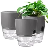 Euakee 3 Stück Selbstbewässerungstopf, 15 cm Fensterbank Kräutertopf Küche Set mit Selbstbewässernd und Wasserspeicher, für Frische Küchenkräuter, für Gesündere Kräuter und Pflanzen (Grau)