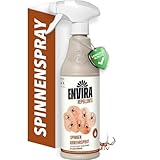 Envira Spinnen Spray 500 ml - Spray mit langzeitger Wirkung gegen alle Arten von Spinnen - Effektive Spinnenabwehr für die Wohnung - dezenter Duft, geruchsarm