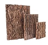 Sporgo Korkrinde Rückwand für Terrarium: 3 Stück Natürliche Baumrindenoptik, Reptilien-Klettermatte, Reptilienbecken Baum Hintergrund Wanddekoration, für Schildkröte Gecko Bartagamen - 30x20cm
