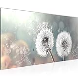 Runa Art Wandbild Pusteblume 1 Teilig 100 x 40 cm Modern Bild auf Vlies Leinwand Blumenwiese Wohnzimmer Schlafzimmer Türkis Grau 023612b