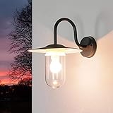 Licht-Erlebnisse Außenwandleuchte Metall Glas in Anthrazit IP44 Outdoor Garten T:34 cm E27 wetterfest Maritime Außenlampe Terrasse GÖTEBORG