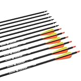 Pfeile 28 30 31 Zoll Carbonpfeile Bogenpfeile Jagdpfeile für Recurvebogen, Langbogen und traditionellen Bogen Zielübung Outdoor Jagd Schießen