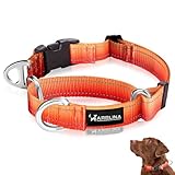 Arblina Martingale Hundehalsband, Reflektierendes Zugstopp Halsband Hunde für Große Mittlere und Kleine Hunde, Nylon Zughalsband mit Stopp für Hunde Whippets, Greyhounds, Saluki, Orange,M