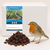 Futterbauer Futterrosinen 10 kg, Energiereiche Rosinen für Wildvögel, schnabelgerechte Happen, staubfrei & naturbelassen