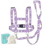 MutoToy® Pferdeleine zum Spielen für Kinder, Verstellbares Pferdegeschirr für Kinder, Pferde Spielleine für Jungen Mädchen Rollenspiel, Kinder Outdoor Spielzeug ab 3 Jahren (Lila)