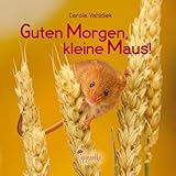 Guten Morgen, kleine Maus!: Eine Geschichte zum Fröhlichsein (Märchen von der kleinen Maus)
