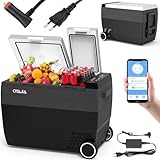 Oyajia Mini Kompressor Kühlbox 55 L Kühlschrank, Dual-Zone Gefrierfach + Kühlbereich Leise mit Rädern 12V/24V, für Auto,Camping, Festivals & Reisen