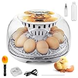 12 Eier Brutautomat Vollautomatisch – Inkubator mit Automatischer Wendefunktion, Temperaturanzeige, 360° Klarsichtfenster & Ei-Candler für Hühner, Enten & Wachteln Egg