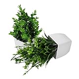 Toyvian 2 Stück Künstliche Pflanzen im Topf Sukkulenten Bonsai Dekopflanzen für Büro Wohnraum Echt Wirkend Pflegeleicht Innen Außen