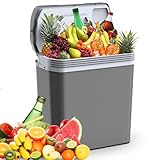 24 Liter Kühlbox, 2 in1 elektrische Kühlbox 12V 230V Kühlen und Wärmen Mini Kühlschrank mit ECO & MAX Modus, für Auto und Hause Leise