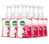 Dettol Handseife Schaum Weiche Mousse Rose und Kirschblüte Duft 6 x 250 ml Großpackung