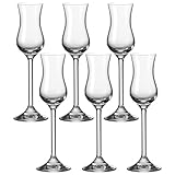 Leonardo Daily Grappa-Glas 6er Set, Schnaps-Glas mit Stiel, spülmaschinenfeste Digestif-Gläser, Höhe 20 cm, 10 cl, 063319
