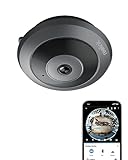 Reolink 6MP WLAN Überwachungskamera Innen, 360° Blick Panorama Fisheye Kamera mit 2,4/5 GHz WLAN, Personenerkennung, 2 Wege Audio, Decken-/Wand-/Tisch-Installation, Mehrere Display-Ansichten, FE-W