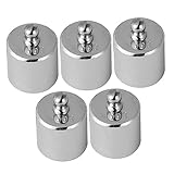 Cabilock 5Stücke Kalibrierungsgewichte Teiliges Präzisionsstahl für Digitale Waagen für Labor Schule Küche Eichung und Justierung von Waagen