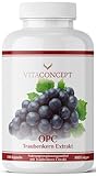 Vitaconcept I OPC Traubenkernextrakt I 240 hochdosierte Kapseln I 95% reines OPC aus französischen Weintrauben I vegan I laborgeprüft