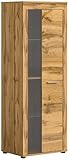 xonox.home Wohnzimmer Jam Vitrine Glasvitrine Dekoschrank Glas-Kommode Stauraumschrank in Wotan Eiche Nb., ca.60x159x35 cm