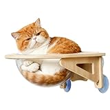 HunicandIU Katzen Möbel Für Die Wand | Durchsichtige Fensterliege Mit Saugnapf In Blasenform - Fensterliege für Katzen | Geeignet Für Wohnzimmer, Zuhause, Innenbereich, Wohnung, Ecke, Arbeitsplatz Und
