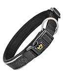 Rudelkönig Hundehalsband Paola - Verstellbares Halsband Hund aus Nylon - Reflektierendes Hundehalsband große Hunde in schwarz