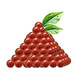 Shiawase 600 Pieces Steinschleuder Munition Tonkugeln, Biologisch Abbaubar Schleudermunition, Tonkugeln Steinschleuder Profi Jagd Funktioniert mit Jeder Schleuder for Shooting Training Practice, Rot