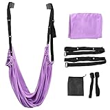 Aerial Yoga Hängematte, Yoga Schaukel, Trapezschaukel Set Yoga Schaukel Nylon Anti-Schwerkraft Hängematte Schlinge Inversion für Yoga Ballett Pilates Gymnastik Flexibilität Training