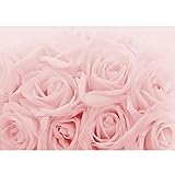 Runa Art Fototapete Blumen Rosen 352 x 250 cm Vlies Tapeten XXL Moderne Wandtapete Wohnzimmer Schlafzimmer Rosa 9258011a