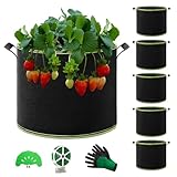 QCR 6 Stück 19L Pflanzsack Pflanzsäcke für Tomaten Mehrzweck-Vliesstoff Töpfe mit haltbaren Griffen, Garten Gewächshaus Pflanzbeutel Pflanztopf für Gemüse Obst Blumen Kräuter Sukkulenten