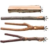 Gadpiparty 4 Stück Natürliches Vogelspielzeug Parakeet Sitzstangen aus Langlebigem Geruchlosem Holz zum Klettern und Krallenwetzen für Wellensittiche Papageien Nymphensittiche und Andere