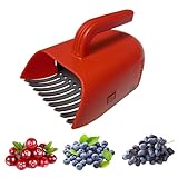 Beerenpflücker, Beerenkamm Obstpflücker, Heidelbeerkamm Heidelbeerrechen Mit Stiel, Garten Blaubeerpflückwerkzeug (Rot)