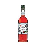 GIFFARD Bar Sirup 1,0 l - Sirup WASSERMELONE zum Mixen Mixgetränke / Cocktails