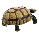 Toddmomy Landschildkrötenmodell Realistische Schildkrötenfigur aus Kunststoff für Fördert die Tieridentifikation und Kognitive Fähigkeiten Lernspielzeug und Dekoration