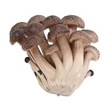 STOBAZA Realistische Kleine Pilzfigur PVC Pilzstatue Gartendekoration Lebensechtes Modell für Garten Terrasse Balkon und Party Wetterfest und Liebevoll Gestaltet