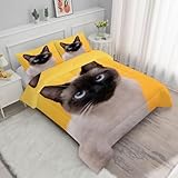 Syhi Qlty Modern Bettdecke 200x200cm 4 Jahreszeiten Braune Katze Bettdecke 200x200 Ganzjahresdecke, Neutral Steppdecke Bettdecken, Waschbar Gesteppte Duvet Schlafdecke mit 2 Kissenbezug 80x80cmM201