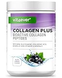 Collagen Plus - 500 g Pulver mit MSM, Glucosamin HCL, Hyaluronsäure, Weihrauch Extrakt - 100% bioaktives Kollagen Hydrolysat Peptide - Kollagen Typ 1 & 3 - Schwarze Johannisbeeren Geschmack