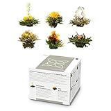 Feelino Edle 6er-Mischbox -Teeblumen Feelino White in toller Probier- und Geschenkbox mit 6 verschiedenen Weißtee-Teerosen, einzeln vakuumverpackt, 1er Pack
