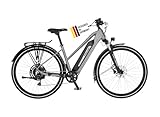 Fischer E-ATB Active Terra 2.2, Elektrofahrrad für Damen und Herren, RH 50, 688Wh, Heckmotor 50Nm, 48V